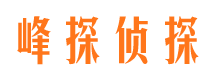 潮南外遇调查取证